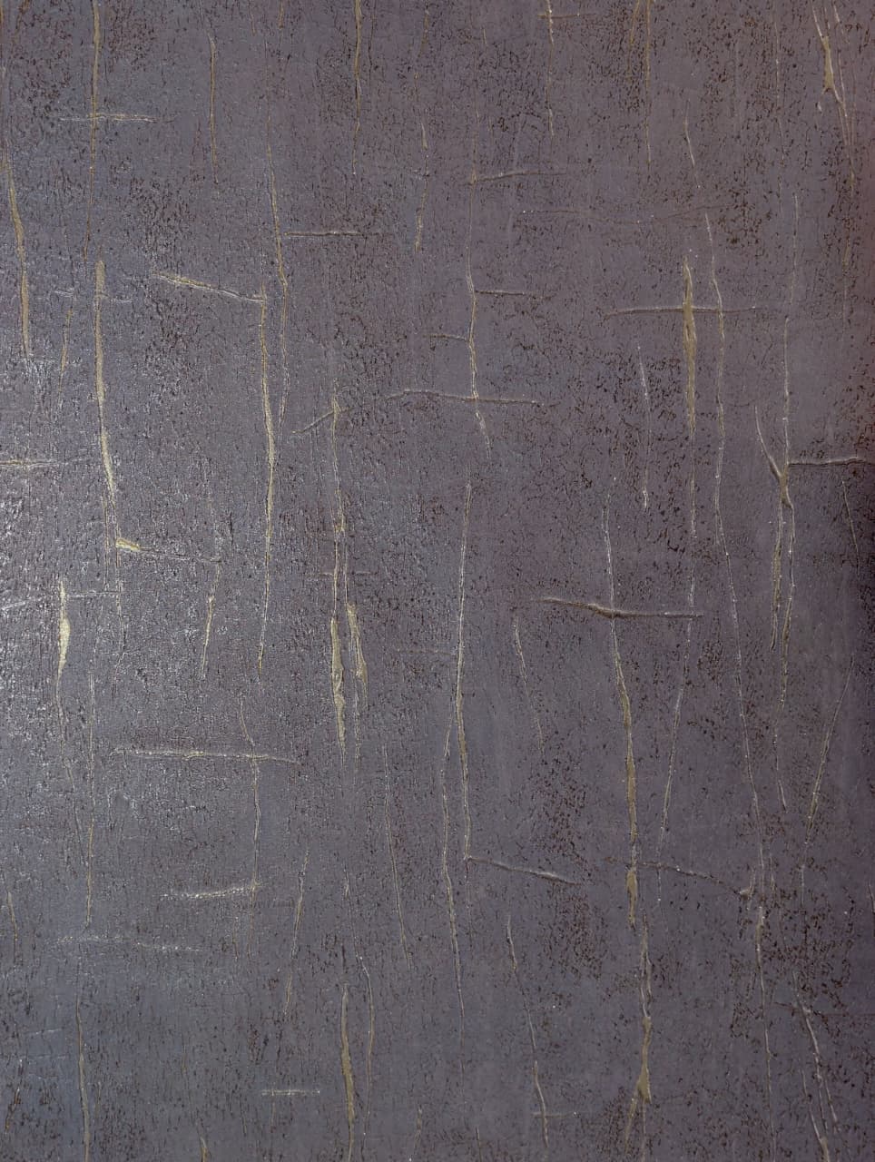 222066698eda4de5c3e 222066 - Imagen 1