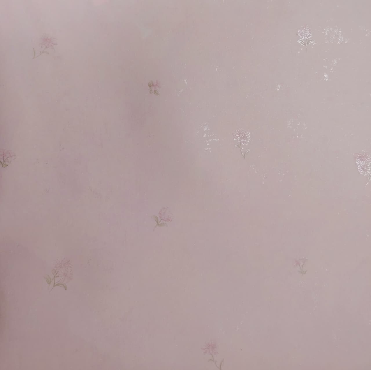 BT-98272698eda8a617da BT-98272 - Imagen 1