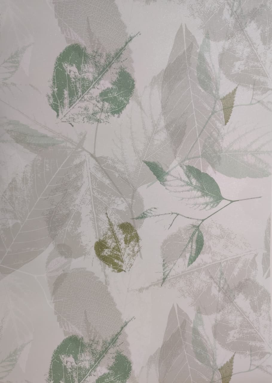 BT-98602698edc5ba1d41 BT-98602 - Imagen 1